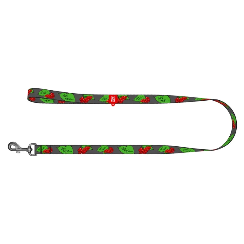 Повідець для собак нейлоновий «Калина», M WAUDOG Nylon Leash Kalyna