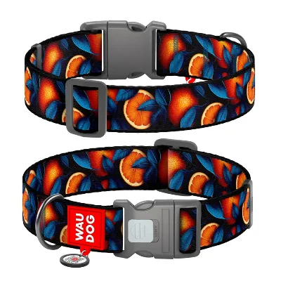 Нашийник для собак нейлоновий «Апельсини», XXL WAUDOG Nylon Collar Oranges