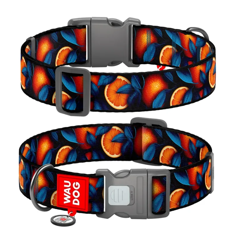 Нашийник для собак нейлоновий «Апельсини», XXL WAUDOG Nylon Collar Oranges
