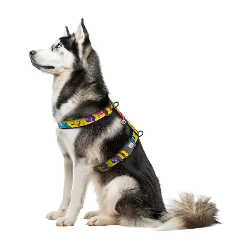 Шлея для собак анатомічна H-подібна «Мохнаті монстри», XL WAUDOG Nylon Anatomic Harness Furry Monsters