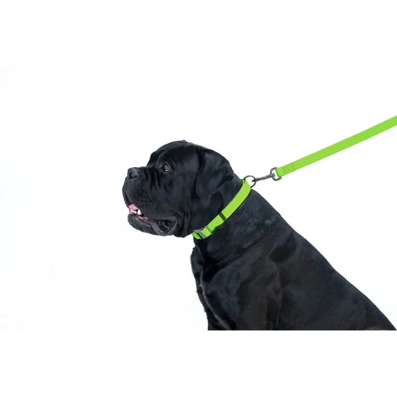 Повідець для собак водостійкий, 20 мм × 183 см, M, салатовий WAUDOG Waterproof Leash