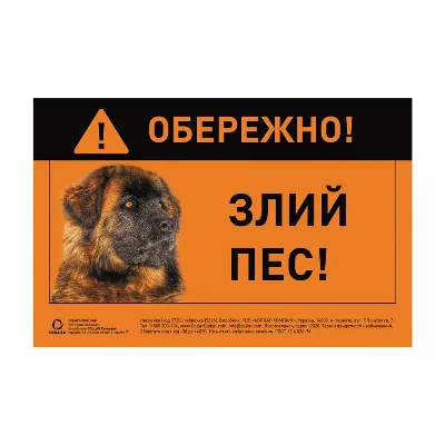 Наклейка "ОБЕРЕЖНО, ЗЛИЙ ПЕС" кавказька вівчарка повнокольорова Collar Sticker