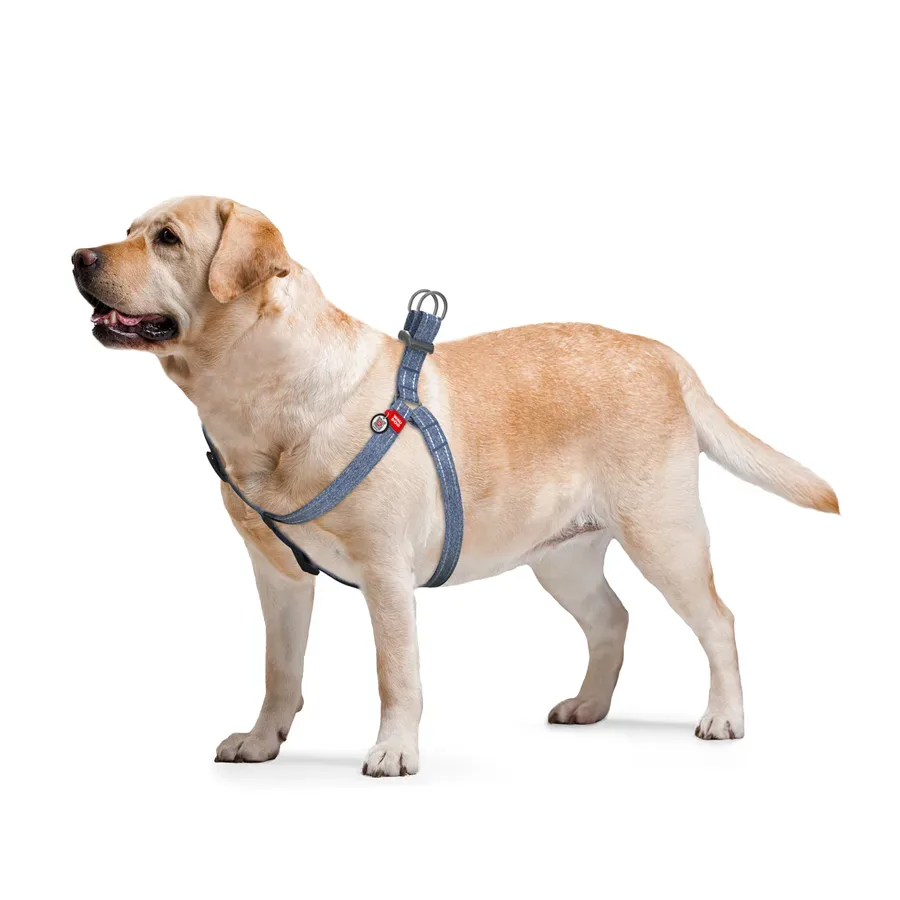 Шлея из восстановленного хлопка, светоотражающая, M, синий WAUDOG Re-cotton Harness