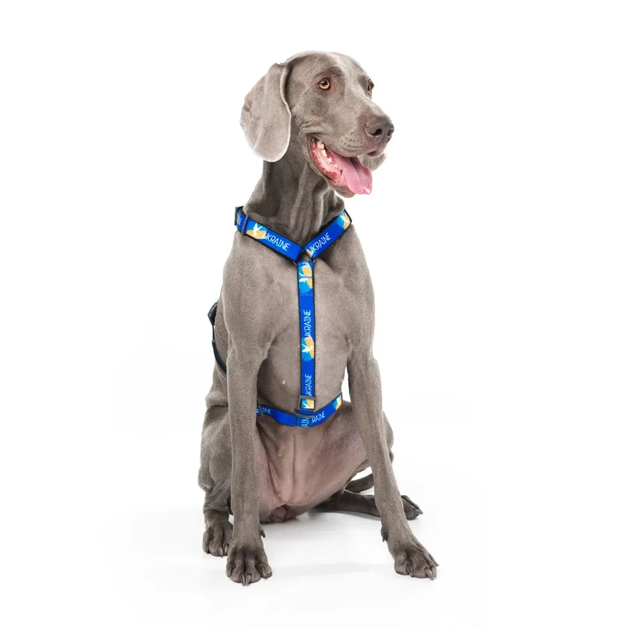 Шлея для собак анатомічна H-подібна, матеріал нейлон «Прапор», L WAUDOG Nylon Anatomic Harness Flag