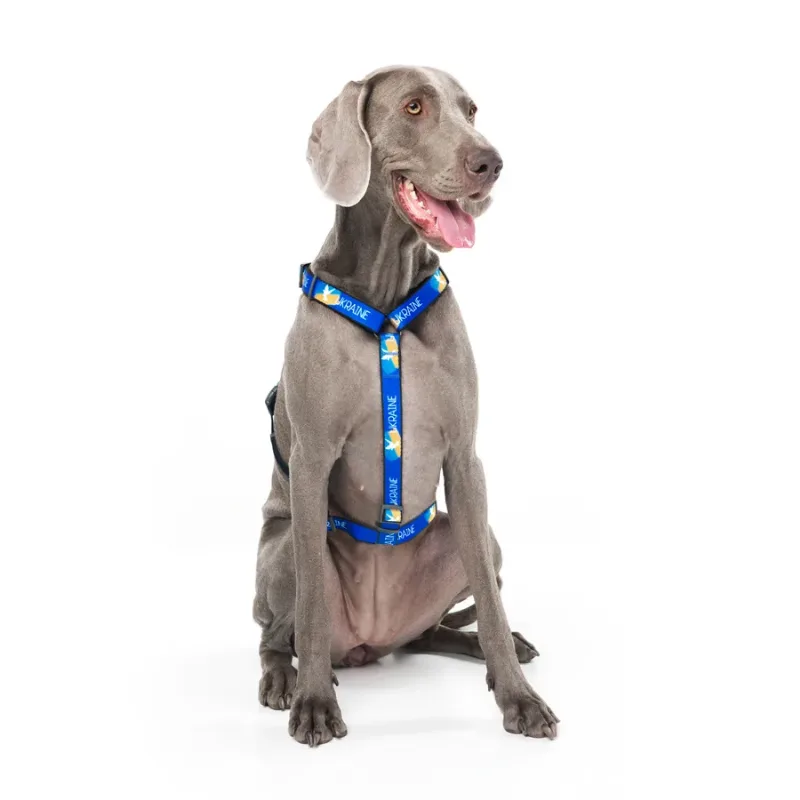 Шлея для собак анатомічна H-подібна, матеріал нейлон «Прапор», L WAUDOG Nylon Anatomic Harness Flag
