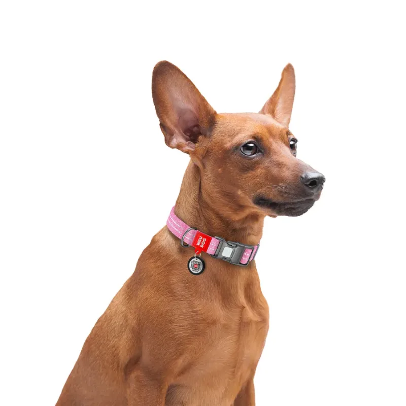 Нашийник для собак із відновленої бавовни, світловідбивний, L, рожевий WAUDOG Re-cotton Collar