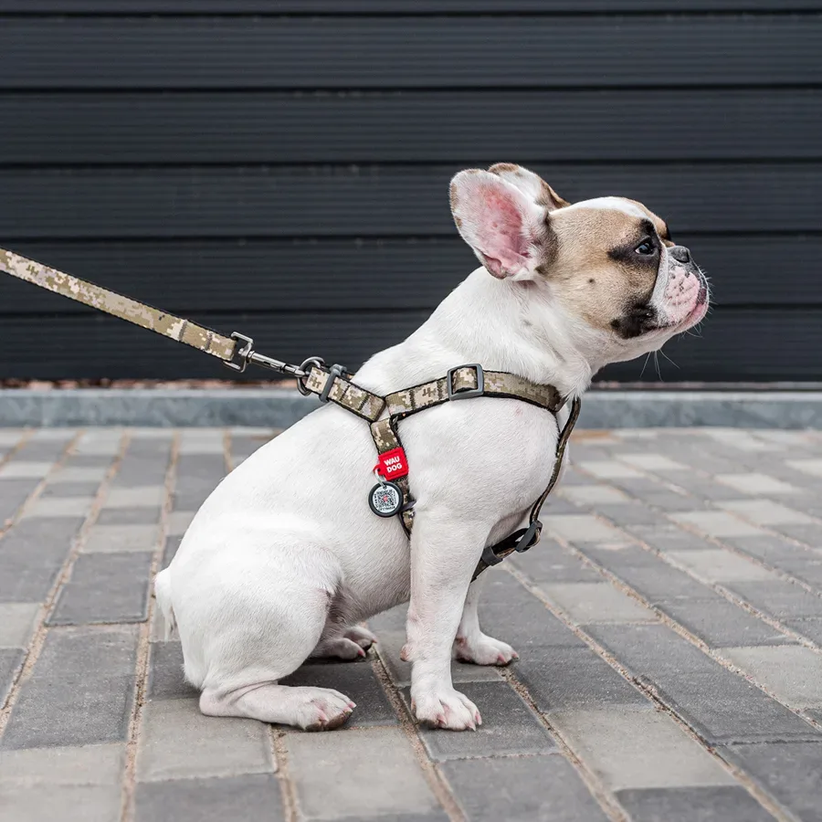 Шлея для собак «Мілітарі», M WAUDOG Nylon Harness Military