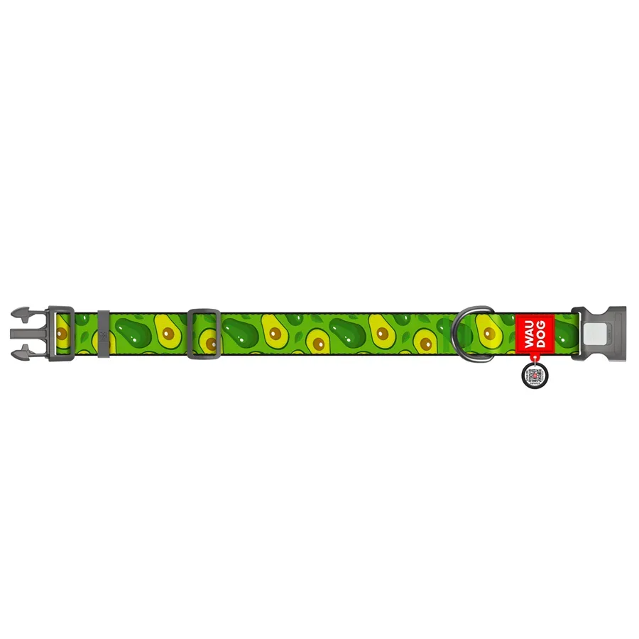 Ошейник для собак нейлоновый «Авокадо», пластиковая пряжка, XXL WAUDOG Nylon Collar Avocado