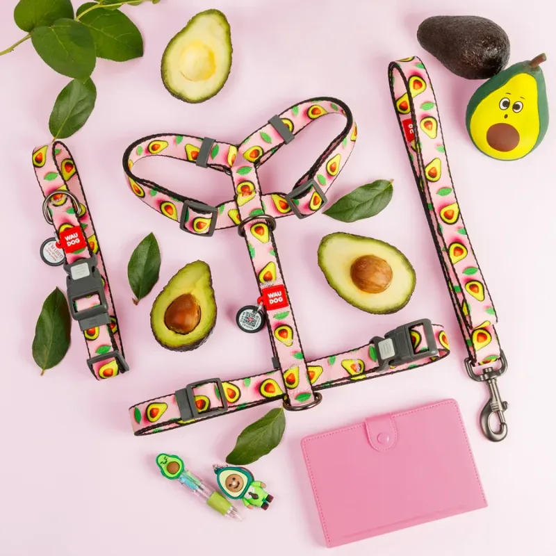Повідець для собак нейлоновий «Авокадо на рожевому», 20 мм × 122 см, M WAUDOG Nylon Leash Avocado on Pink