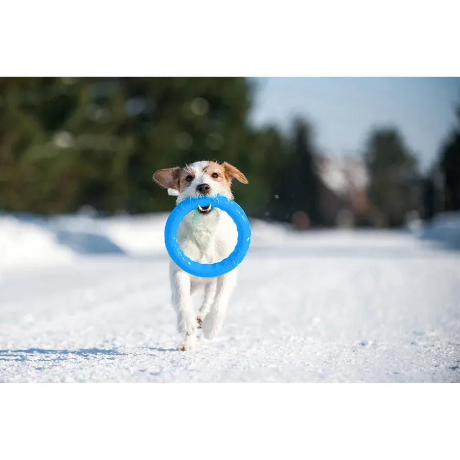 Кільце для апортировки 20, блакитний PitchDog Fetch Ring