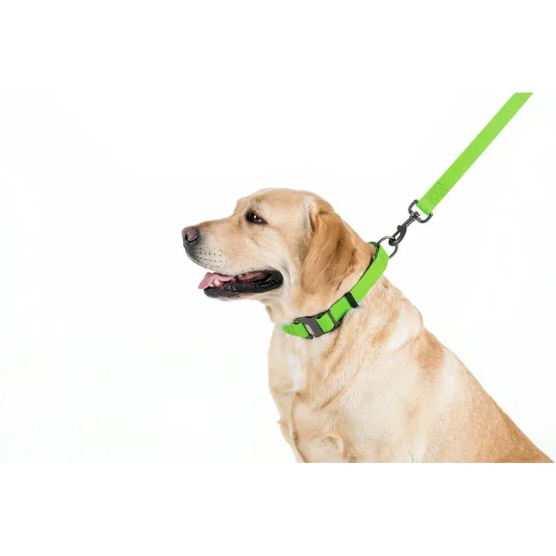 Повідець для собак водостійкий, 15 мм × 122 см, S, салатовий WAUDOG Waterproof Leash