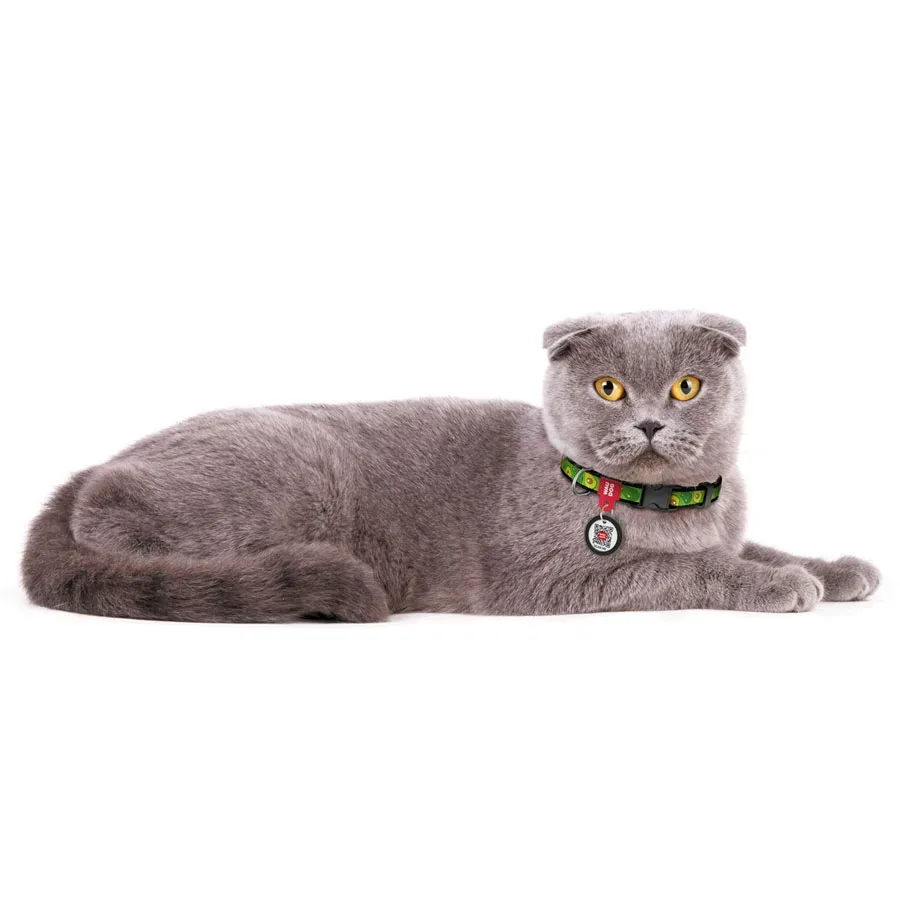 Нашийник для собак нейлоновий «Авокадо», XS WAUDOG Nylon Collar Avocado