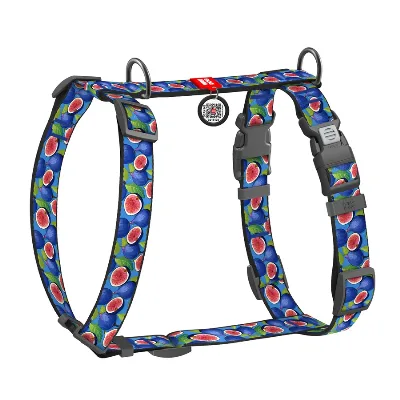 Шлея для собак анатомічна H-подібна «Інжир», M WAUDOG Nylon Anatomic Harness Figs