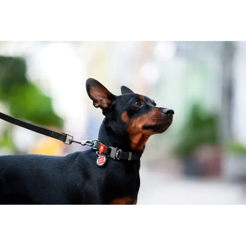 Нашийник для собак водостійкий, металева пряжка, M, чорний WAUDOG Waterproof Collar