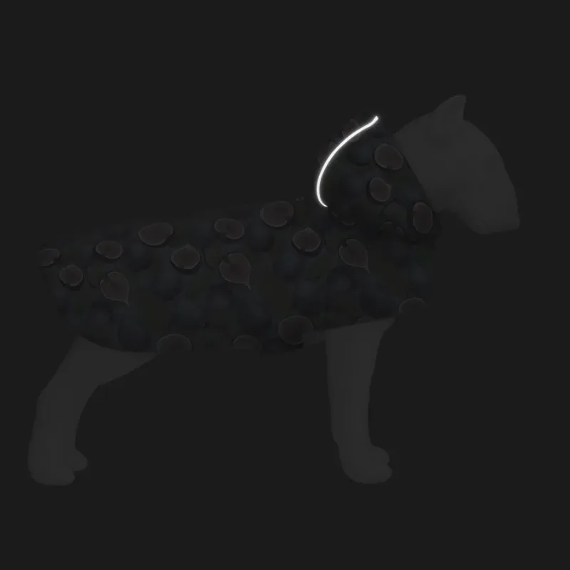 Дощовик-накидка з капюшоном для собак «Інжир», XXS WAUDOG Clothes Dog Raincoat Figs