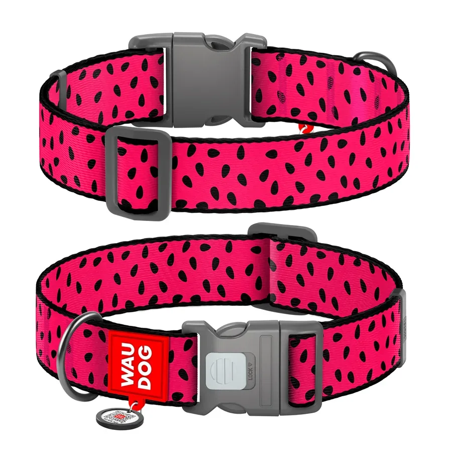 Нашийник для собак нейлоновий «Кавун», пластикова пряжка, XXL WAUDOG Nylon Collar Watermelon