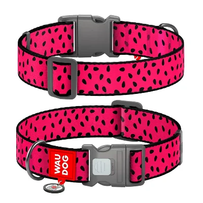 Нашийник для собак нейлоновий «Кавун», пластикова пряжка, XXL WAUDOG Nylon Collar Watermelon