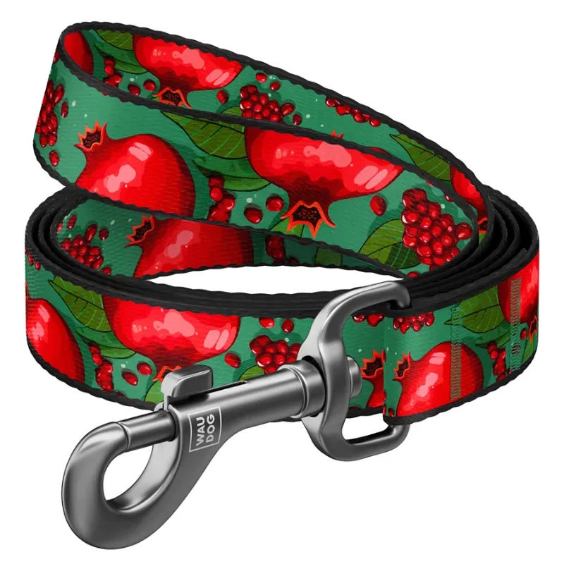 Повідець для собак нейлоновий «Гранати», 15 мм × 122 см, S WAUDOG Nylon Leash Pomegranates