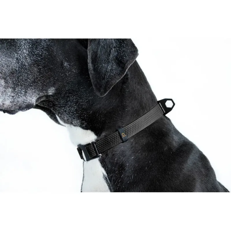 Нашийник, регульований, універсальний, S-XL, чорний EVOLUTOR Collar