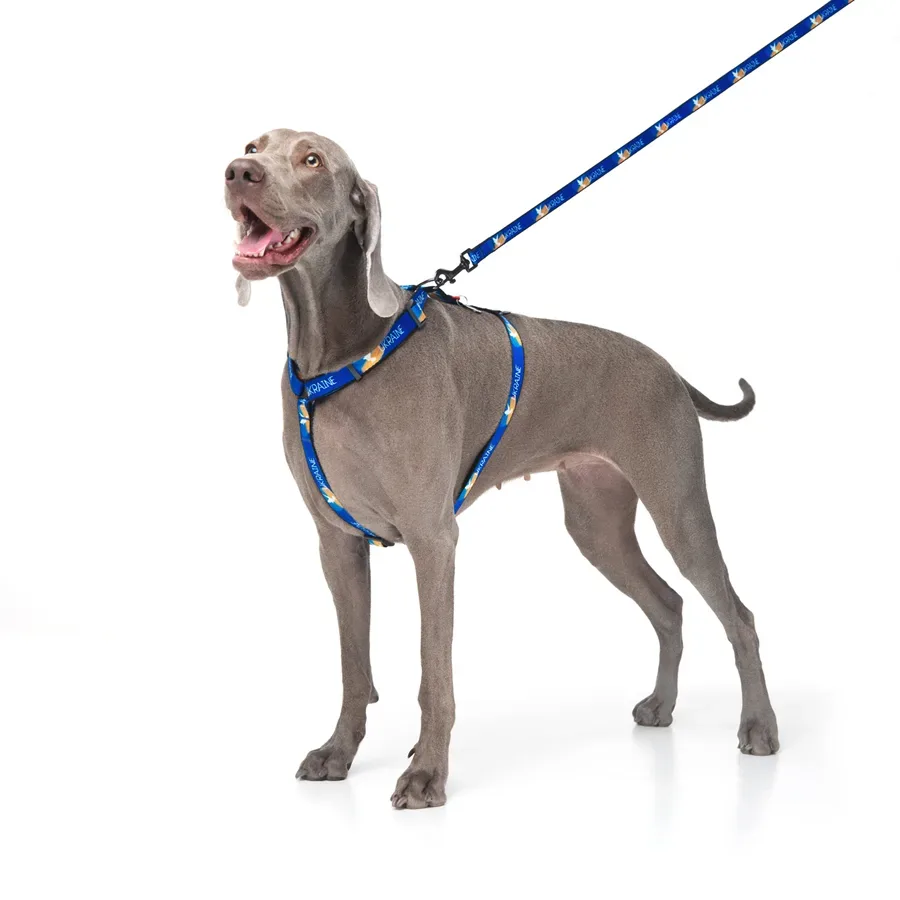 Поводок для собак нейлоновый «Флаг», L-XXL WAUDOG Nylon Leash Flag