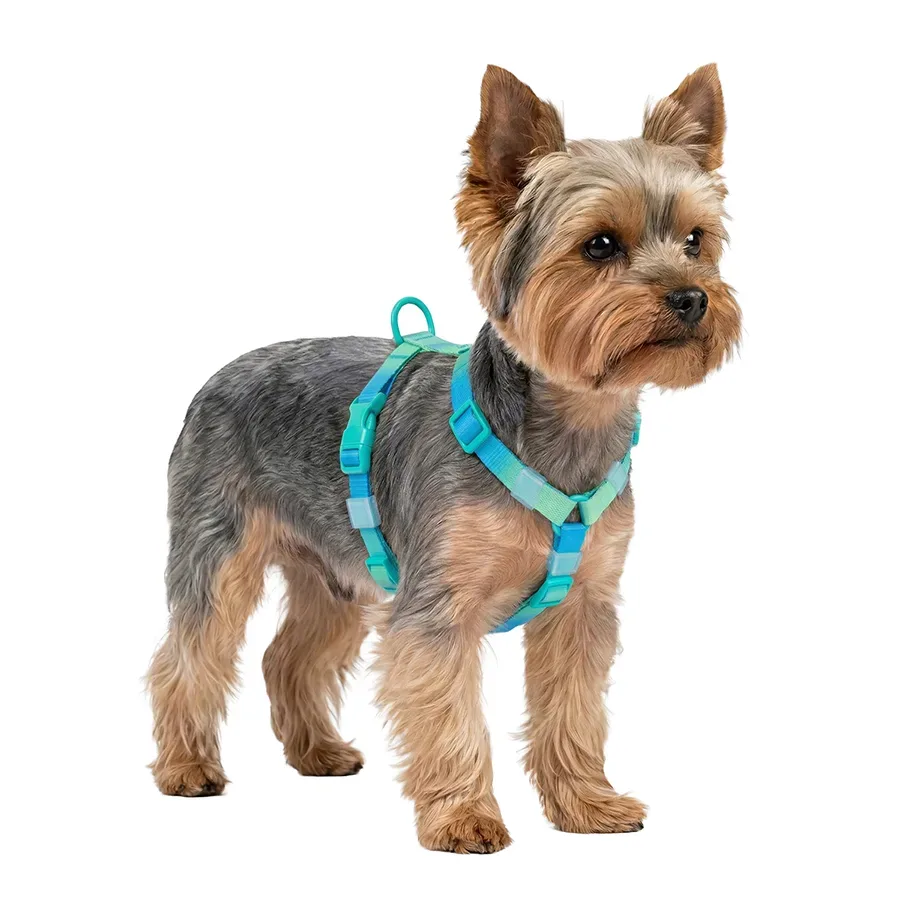 Шлея для собак анатомічна H-подібна, градієнт, XS, блакитний WAUDOG Nylon Recycled Harness