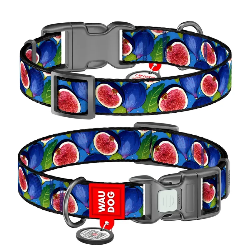 Нашийник для собак нейлоновий «Інжир», M WAUDOG Nylon Collar Figs