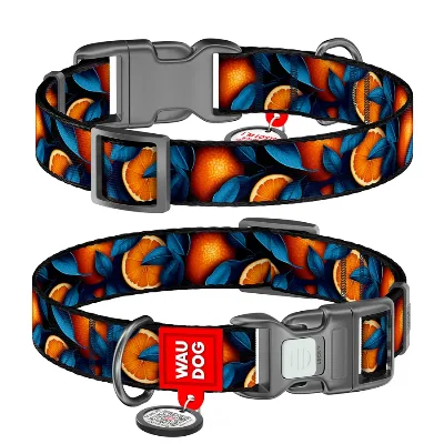 Нашийник для собак нейлоновий «Апельсини», S WAUDOG Nylon Collar Oranges