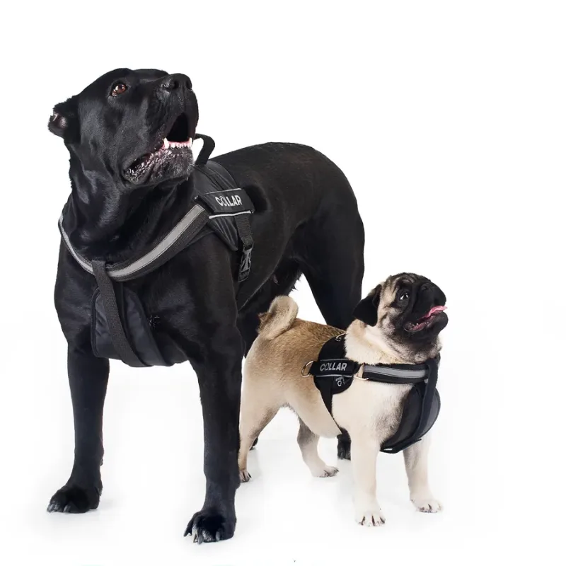 Шлея "POLICE", №2, чорний Dog Extreme Police Harness