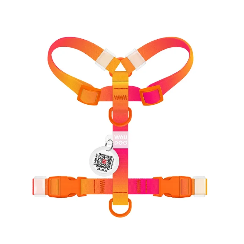 Шлея для собак анатомічна H-подібна, градієнт, XS, помаранчевий WAUDOG Nylon Recycled Harness
