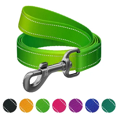 Поводок для собак нейлоновый светоотражающий, 25 мм × 200 см, L-XXL, салатовый WAUDOG Nylon Mono Leash