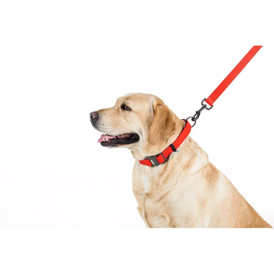 Повідець для собак водостійкий, 15 мм × 183 см, S, червоний WAUDOG Waterproof Leash