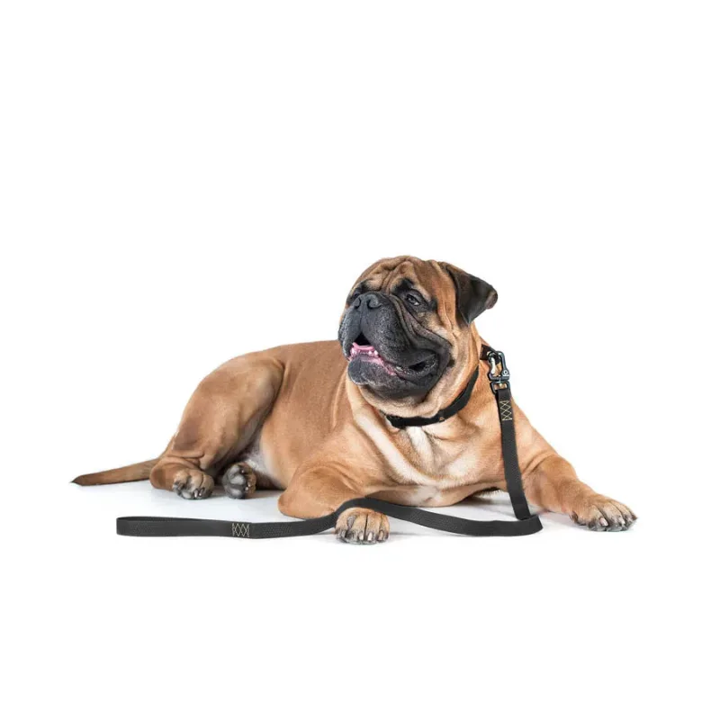 Поводок "Эволютор", XL, черный EVOLUTOR Leash
