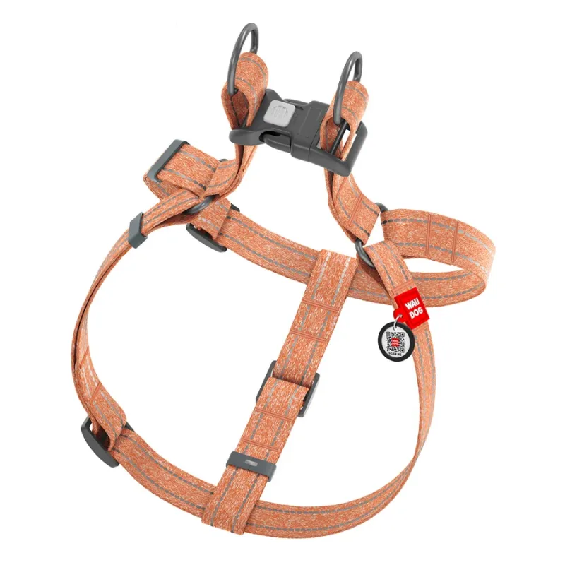 Шлея из восстановленного хлопка, светоотражающая, S, оранжевый WAUDOG Re-cotton Harness