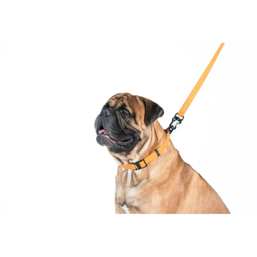 Поводок "Эволютор", XL, оранжевый EVOLUTOR Leash