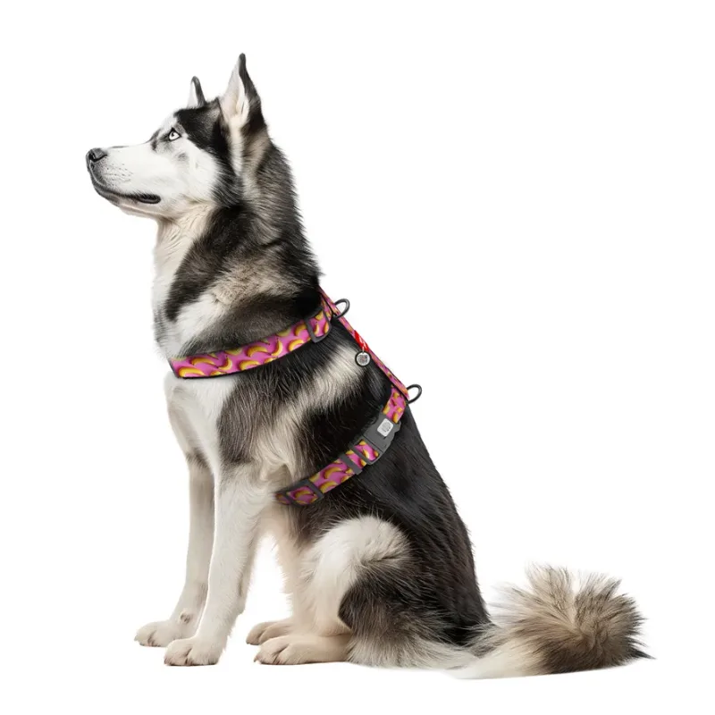 Шлея для собак анатомическая H-образная «Бананы на розовом», XL WAUDOG Nylon Anatomic Harness Bananas on Pink