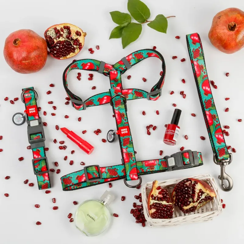 Повідець для собак нейлоновий «Гранати», 15 мм × 122 см, S WAUDOG Nylon Leash Pomegranates