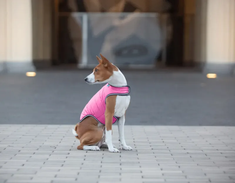 Куртка-накидка для собак, XL, рожевий AiryVest Dog Cape Jacket