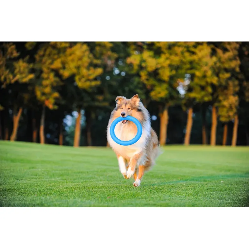 Кольцо для апортировки 30, голубой PitchDog Fetch Ring