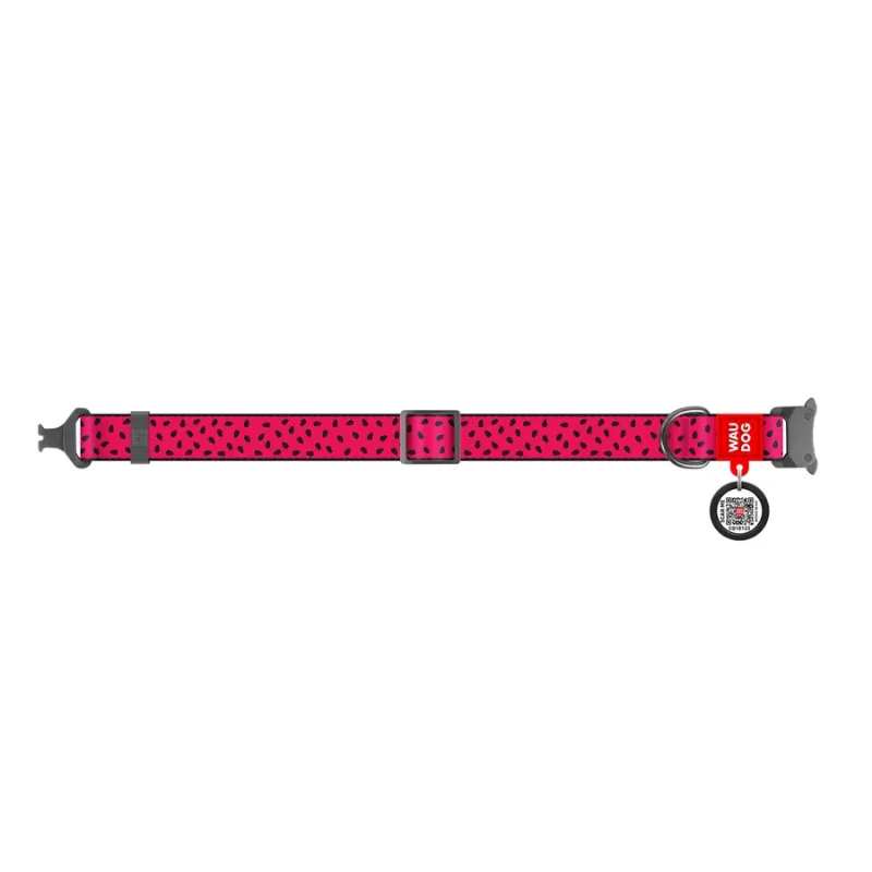 Нашийник для собак нейлоновий «Кавун», металева пряжка, M WAUDOG Nylon Collar Watermelon