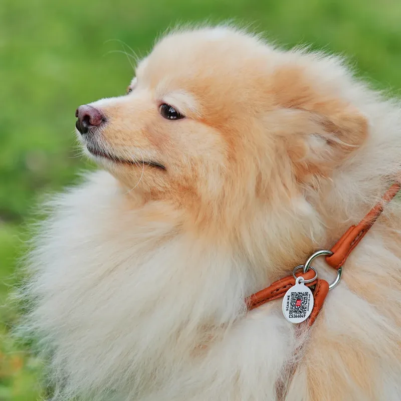 Шлея з повідцем для собак шкіряна, кругла, XS, коричневий WAUDOG Soft Harness with Leash