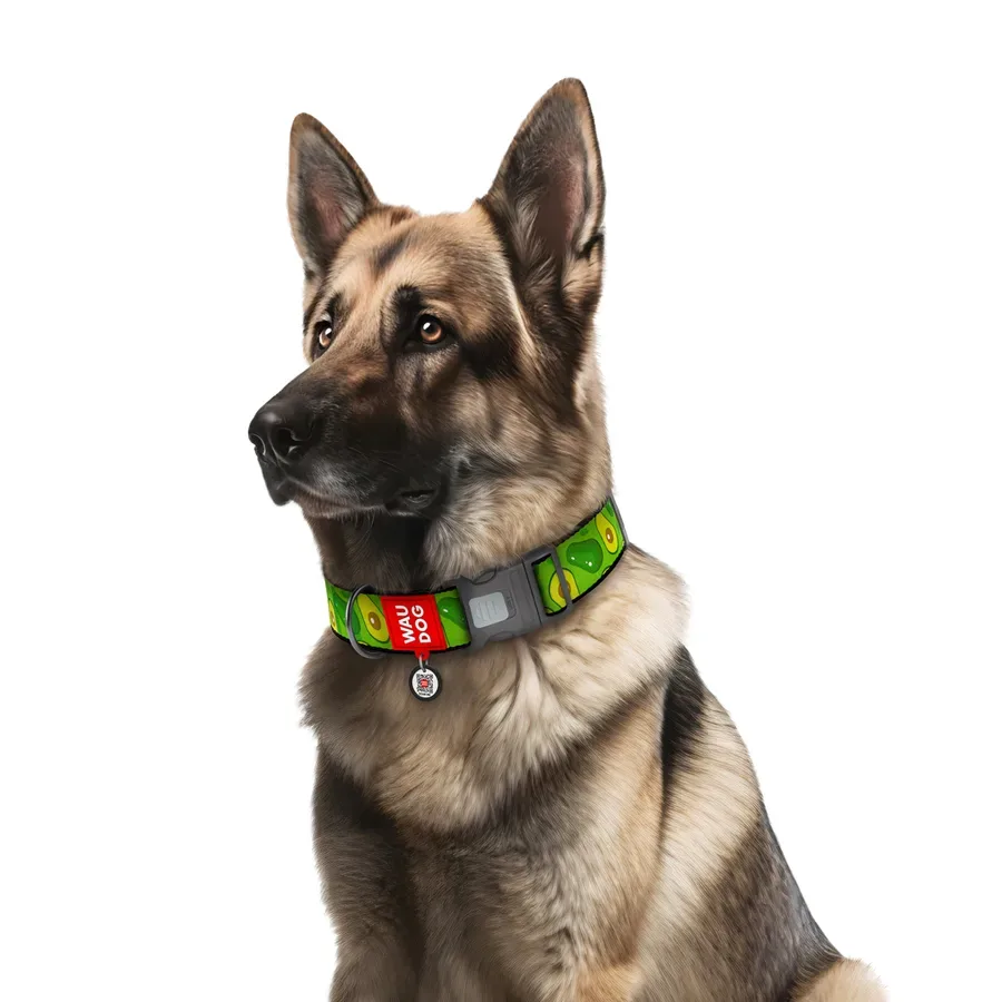 Ошейник для собак нейлоновый «Авокадо», пластиковая пряжка, XXL WAUDOG Nylon Collar Avocado