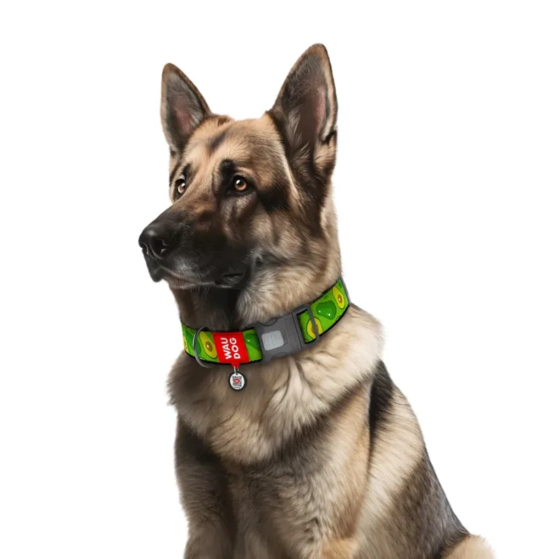 Ошейник для собак нейлоновый «Авокадо», пластиковая пряжка, XXL WAUDOG Nylon Collar Avocado