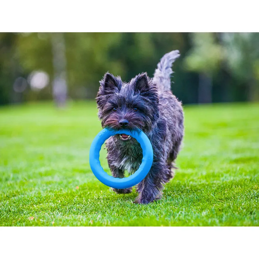 Кільце для апортировки 20, блакитний PitchDog Fetch Ring