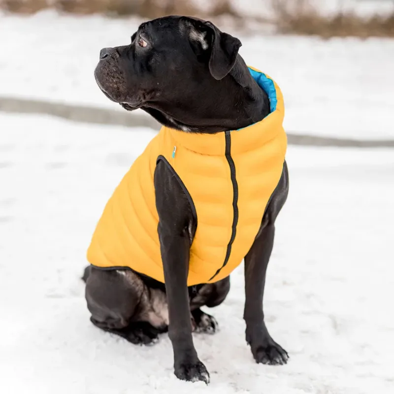 Двостороння курточка для собак, L55, жовто-блакитна AiryVest Dog Jacket