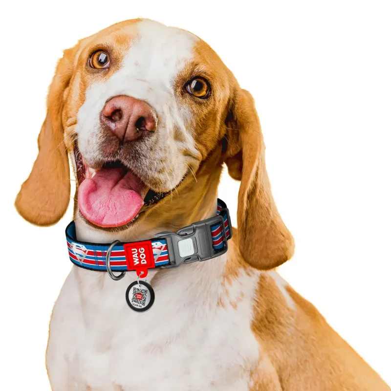 Нашийник для собак нейлоновий, світловідбивний «Супермен ретро», S WAUDOG Nylon DC Comics Collar Superman Retro
