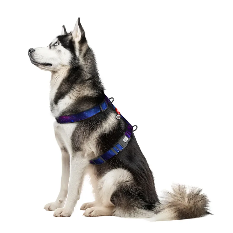 Шлея для собак анатомічна H-подібна «NASA21», XL WAUDOG Nylon Anatomic Harness NASA21