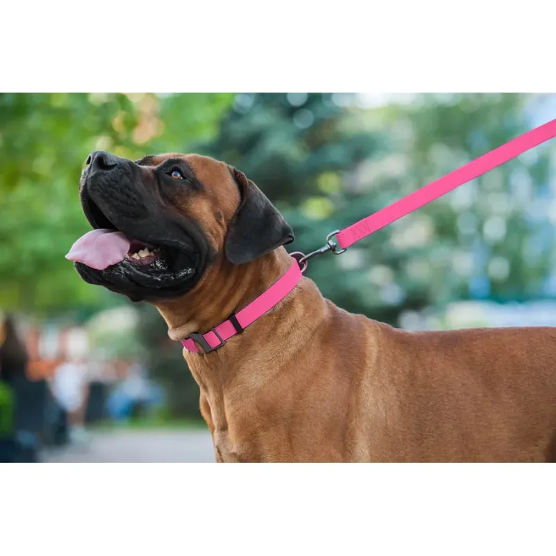 Поводок для собак водостойкий, 25 мм × 183 см, L-XXL, розовый WAUDOG Waterproof Leash