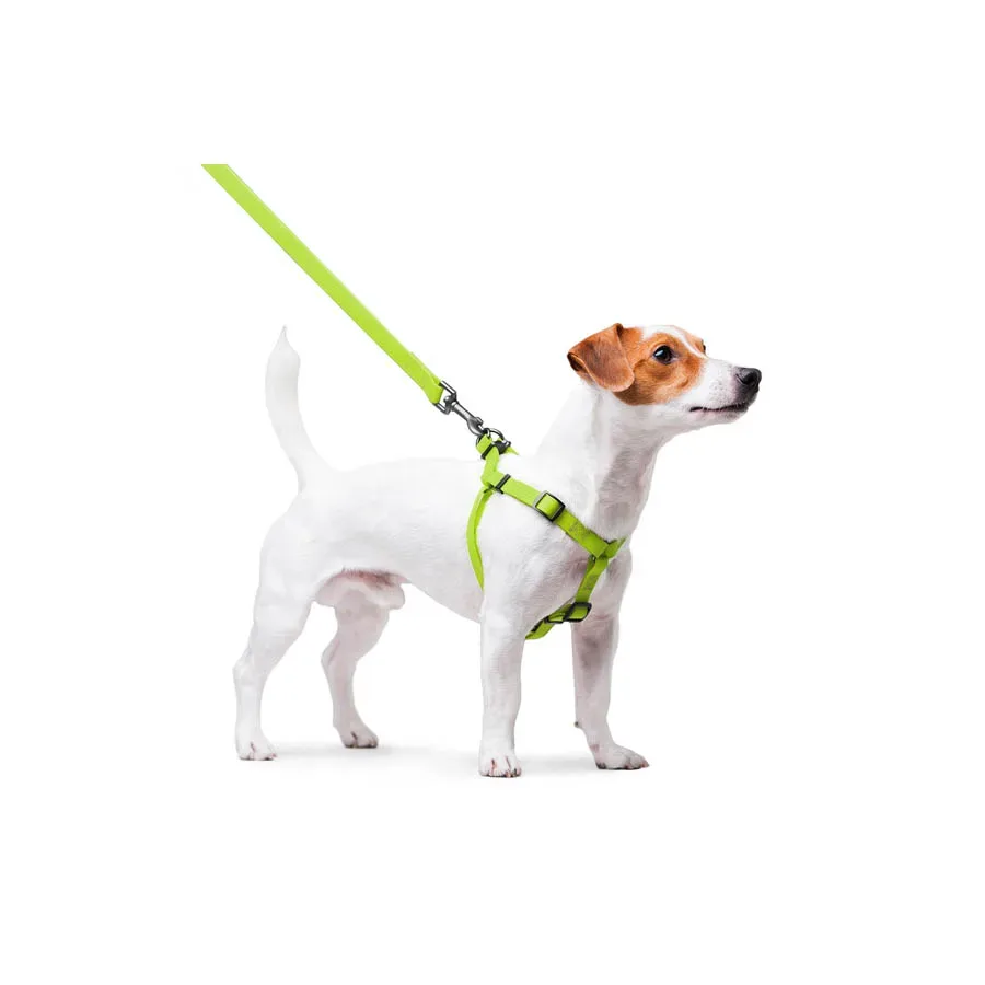 Шлея для собак водостойкая, S, салатовый WAUDOG Waterproof Harness