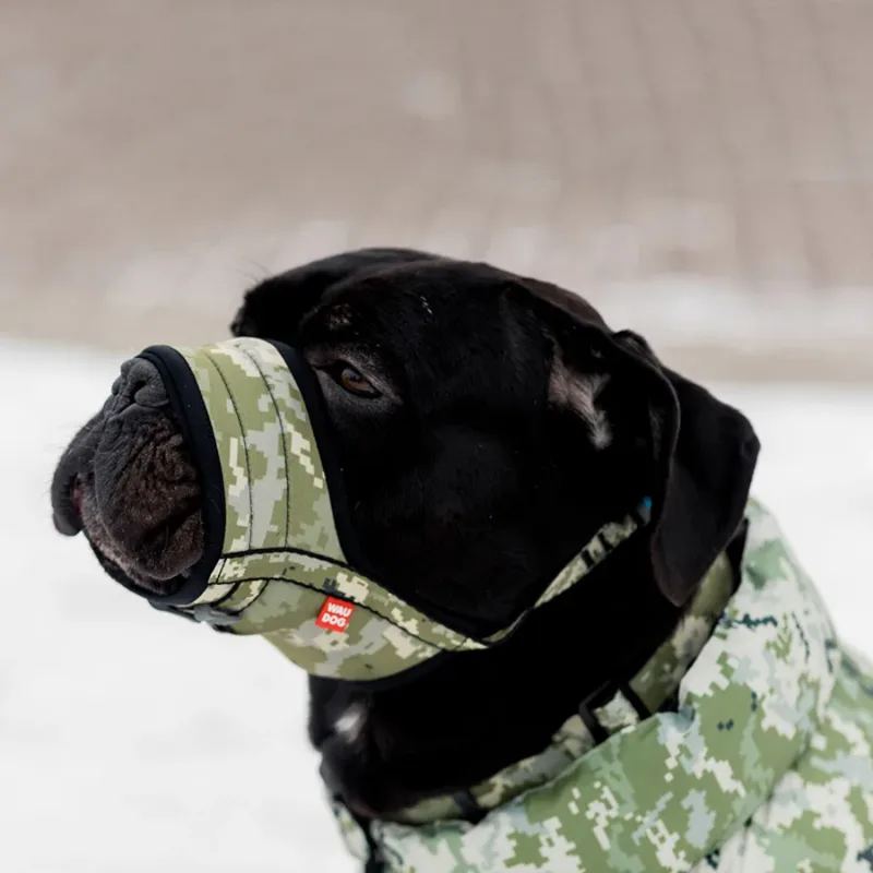 Намордник для собак, О 35-43 см «Мілітарі», XL WAUDOG Nylon Muzzle Military