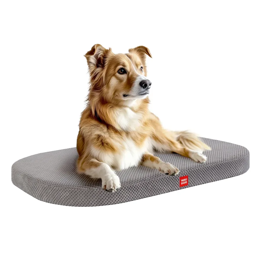Лежанка для собак, Дорис велюр, со съемным чехлом, M, серый WAUDOG Relax Pet Bed